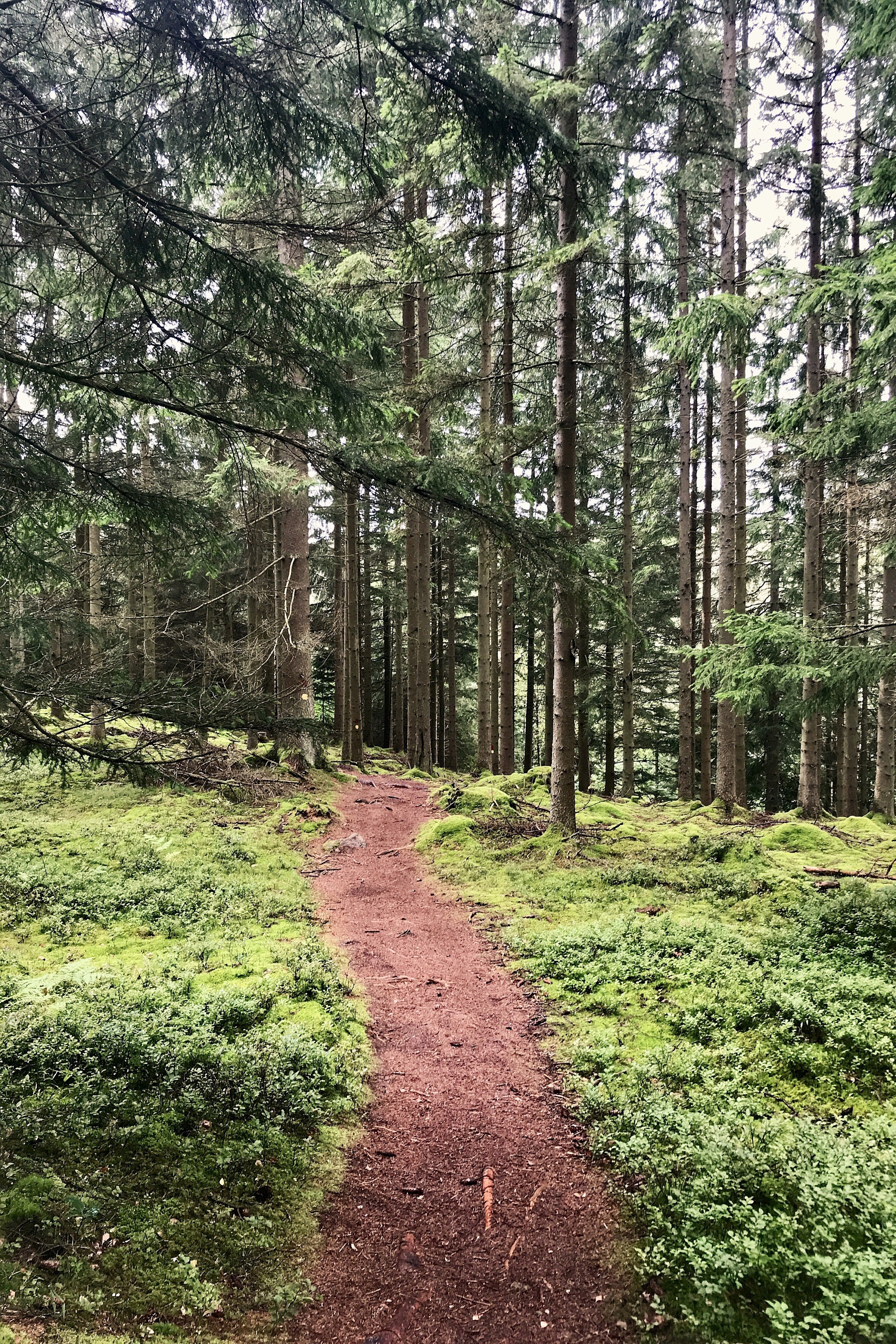 Danska Fall (Danska fallen)